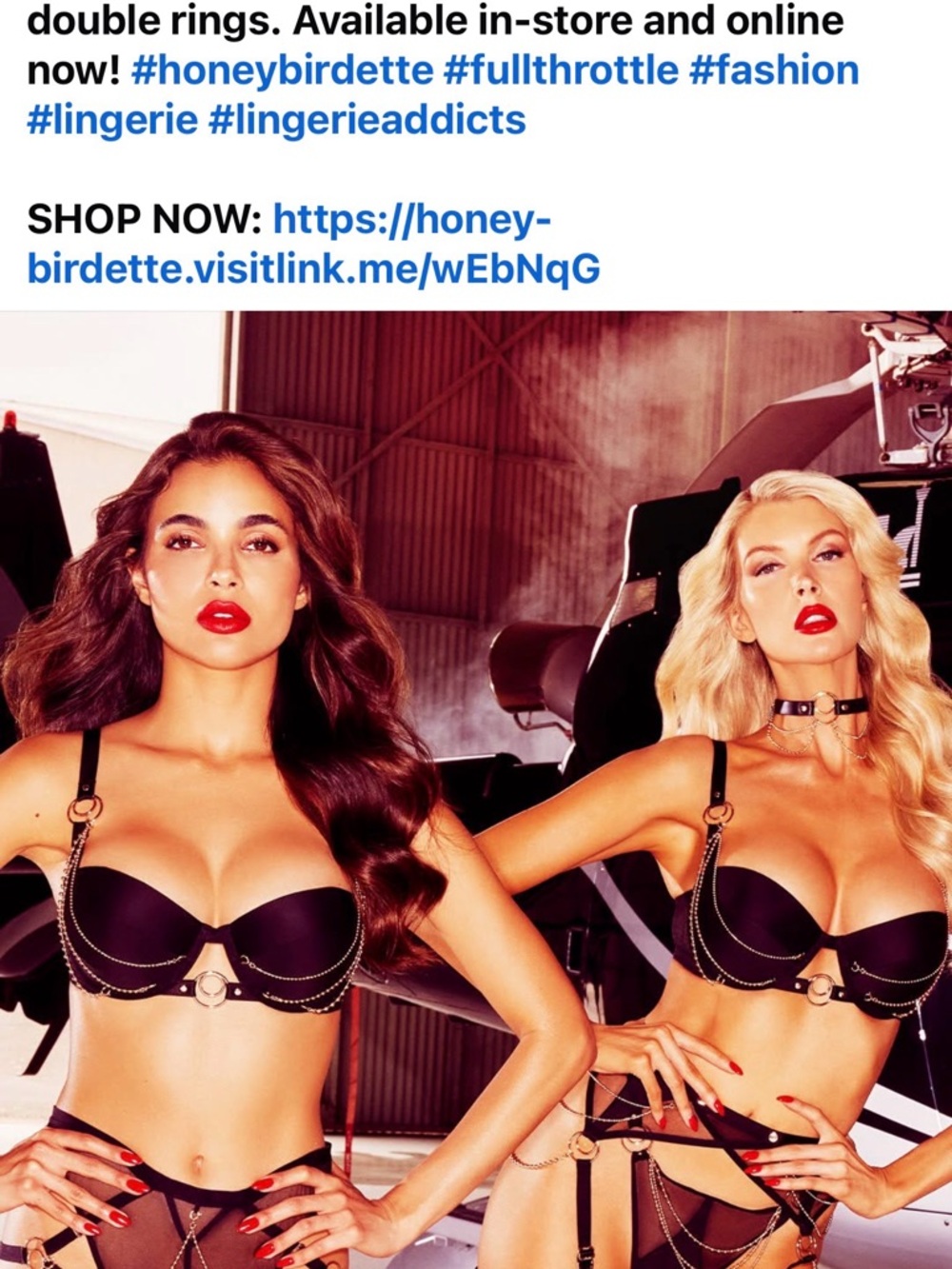 Honey Birdette 38D and XL thong. Black Lingerie Set with Gold Chain Accents - Picture 6 of 6